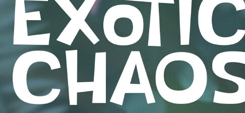 Exotic Chaos